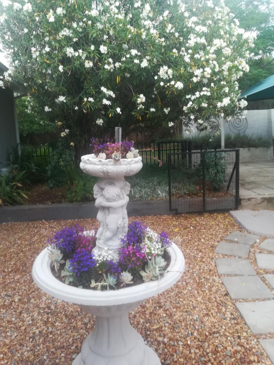 Mulberry Place Cradock Luaran gambar